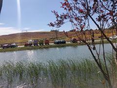 -六合国家地质公园桂子山景区