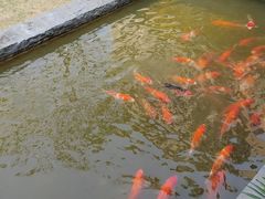 -南宁荔园维景国际酒店·荔园中餐厅