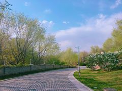 -北京张裕爱斐堡酒庄