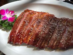 -大树头森林餐厅(番禺广场店)