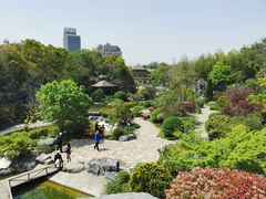 -上海吴淞炮台湾国家湿地公园