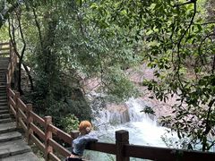 -广州白江湖森林公园