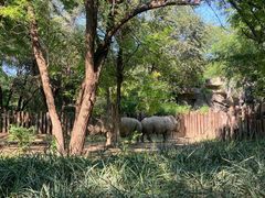 -北京野生动物园