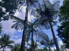 -中国科学院西双版纳热带植物园