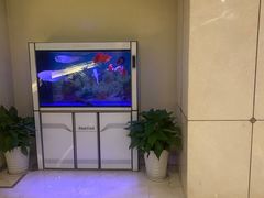-华夏良子·足道SPA艾灸(三里屯店)