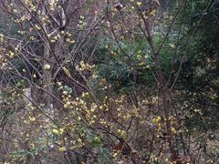 景点-穹窿山景区