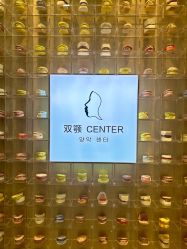 -上海首尔丽格医疗美容医院