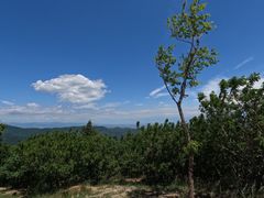 -北京西山国家森林公园