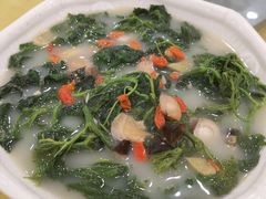 上汤桑叶-姚林轩