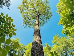 -蜀冈西峰生态公园