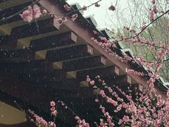 -庐山风景名胜区-东林大佛