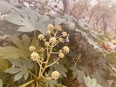 -滨湖塘西河公园