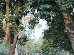 -杭州植物园