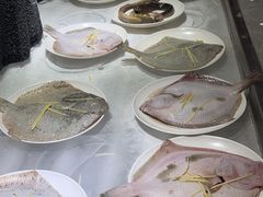 -四海蒸鲜蒸汽海鲜自助(北戴河店)