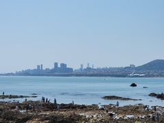 -青岛石老人海水浴场