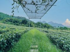 -宝晶宫旅游景区