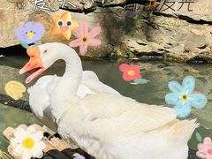 -兰亭风景区