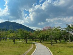 -风云岭森林公园