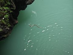 -阿依河景区