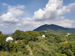-紫金山天文台