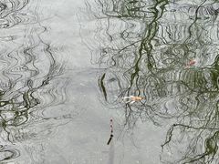 -水磨沟公园