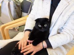 -猫咖时代(中山亭店)