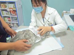 -宠欣安宠物医院·包河区中心医院