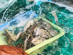 -拉威海鲜市场