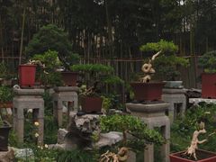 -个园