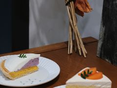-猫里有甜