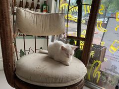 -平行世界·猫咖(首经贸店)