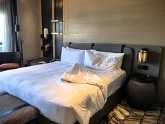 -新加坡瑞士史丹福酒店