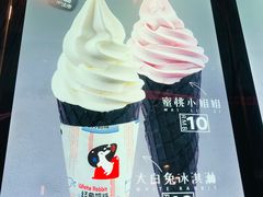 -麦丽丝红油辣椒冰淇淋(江家巷店)