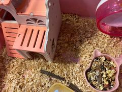 -火星工厂·桌游·团建聚会·轰趴馆(厦滘店)