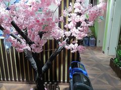 -学习谷日语培训日本留学·多语种外语教学(海淀人大分部)