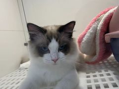 -1013 PET SHOP 宠物商店(近铁城市广场店)