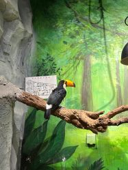 -Zoolung Zoolung动物主题公园(海信广场店)