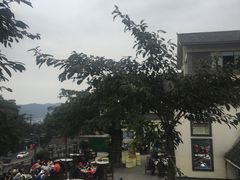 -老幺泉水鸡