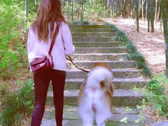 -杭州半山国家森林公园