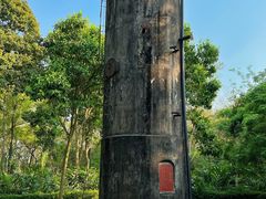 -广西壮族自治区药用植物园