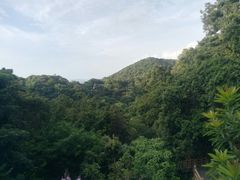 -广州市帽峰山景区