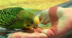 -酷嗒动物文化乐园(cutezoo西溪乐天城店)