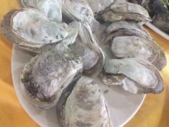 生蚝-蚝专家(北滘店)