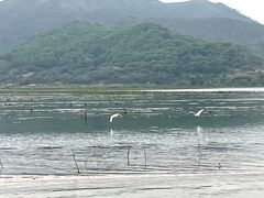 -盐洲岛