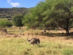 -卡塞拉自然公园