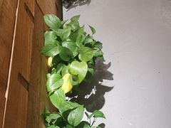 -maan coffee漫咖啡(通州店)