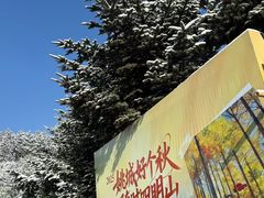 -四明山国家森林公园