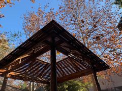 -春晖园度假酒店温泉