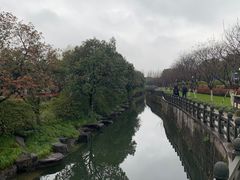 -月湖公园
