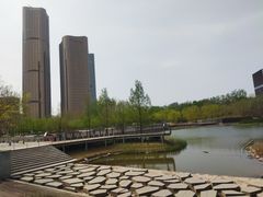 -大望京公园